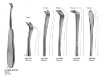 Rib Raspatories